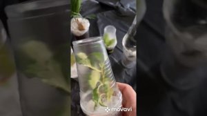 Распаковка посылки с комнатными цветами/Цветы почтой