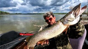 РЕЗУЛЬТАТ РАДУЕТ.  Рыбалка на Оби (Сузун ) 10 июля 2023г. Жор Судака.