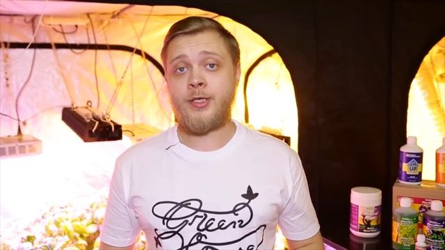 №38 Особенности гидропонного способа выращивания смотреть онлайн