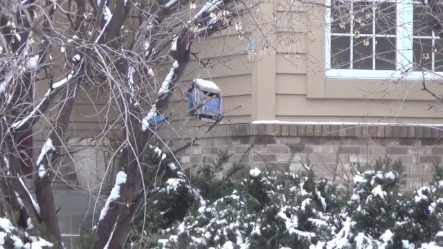 Как живут в одноэтажной Америке часть 1 смотреть онлайн