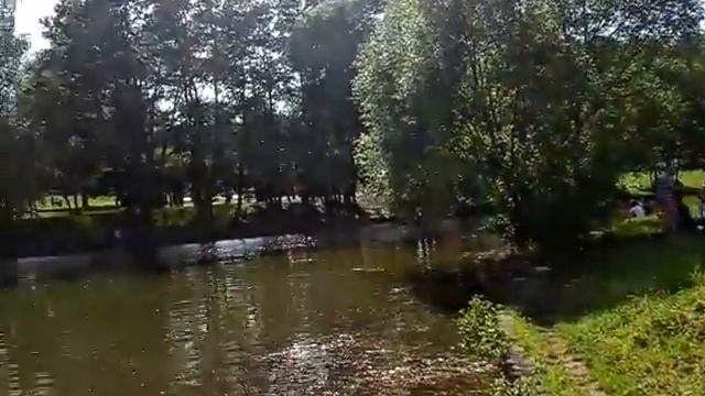 украинец (не патрыот свидомый) В Москве на Терлецких прудах. 7 июня 2015 смотреть онлайн