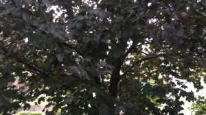 Полгода плохая погода