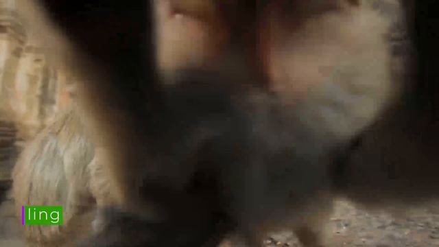 OWN IT 3 | Globetrotters_7_5 смотреть онлайн