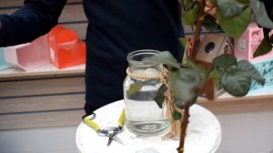 Обзор на розы "Кахала"