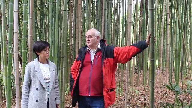 Тюльпановые деревья, бамбуковые рощи и чистое море - Абхазия, "Весне навстречу" смотреть онлайн