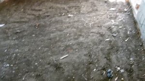 тел 8 920 599 27 31 или 905 677 68 52 Вибротрамбовка Белгород Аренда  Разумное 5