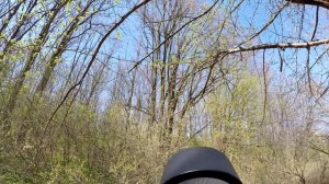 Фото охота на птиц. Снято на GoPro. Photo-Hunting, GoPro5