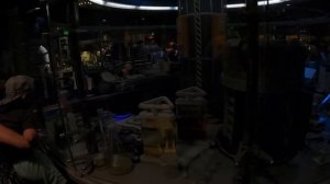 Поездка в Disney Animal Kingdom | Жизнь и работа в США??