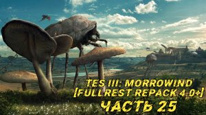 TES III Morrowind [Fullrest repack 4.0+] 📜#25. Кальдера