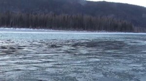 Рыбалка. Хариус. Шуга.