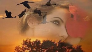 Надежда Меньших  "Журавушка, возьми меня с собой!" (музыка и слова Ирины Скибиной)