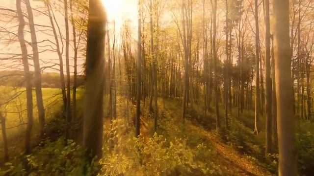 Восстанавливает нервную систему успокаивающая музыка, успокаивающая нервную систему и радующая душу смотреть онлайн