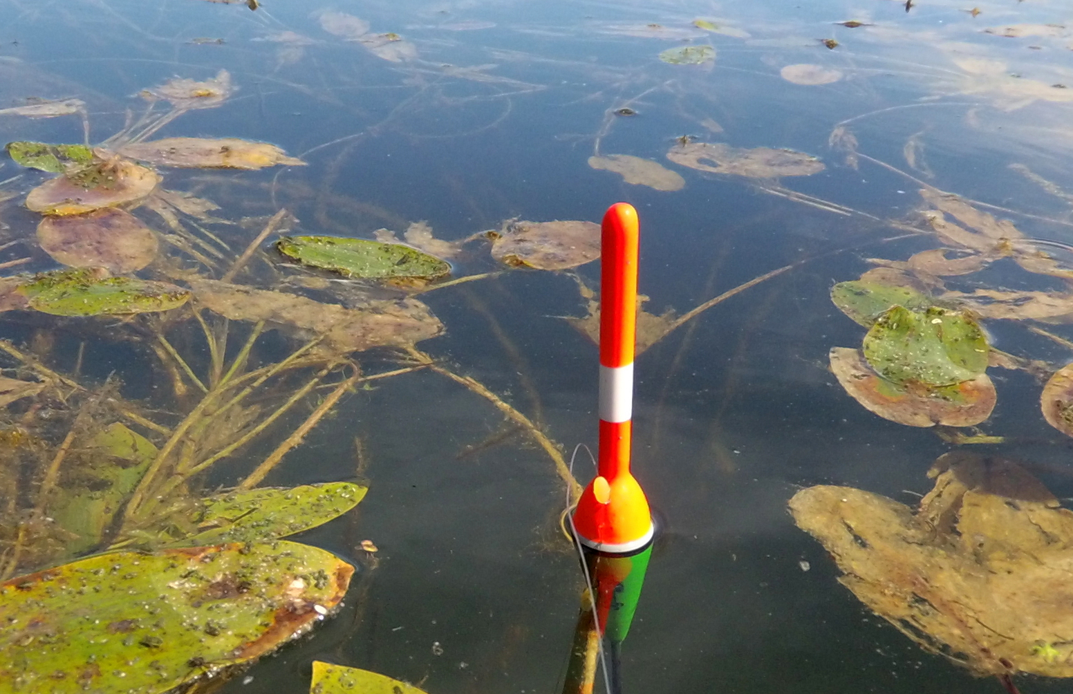 Закинул ПОПЛАВОК - сразу ЛЕЩ ,КАРАСЬ ! смотреть онлайн