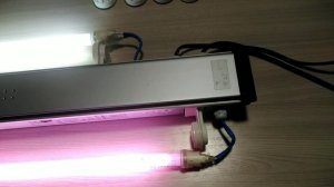 Тест светильника Aquatlantis 4x54W после ремонта.mp4