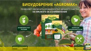 Какое удобрение лучше для картофеля