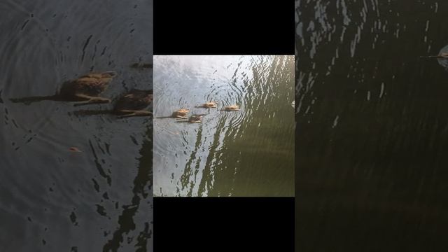 2022-11-14 смотреть онлайн