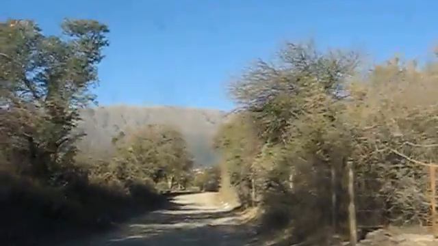 Camino a casa en Carpintería. смотреть онлайн