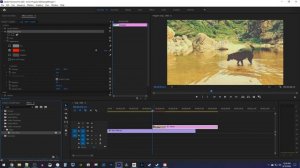 Circle Outline Animation Tutorial | Premiere Pro CC 2020