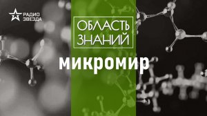 Что умеет и для чего нужна молекулярная машина? Лекция химика Юлии Горбуновой.