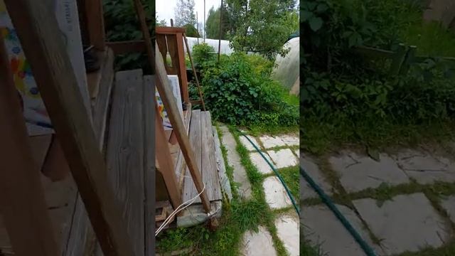 #рек #рекомендации #дача #обзордачи обзорд смотреть онлайн