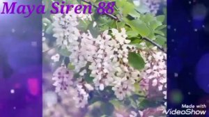 Фристайл С Днём Рождения Мама