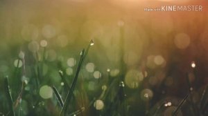 Фанфик/Вигуки "Ты мне не нужен" 4 часть