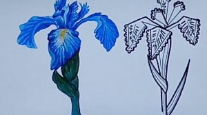 Стилизация растительных форм