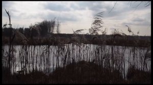 2020 5 май 9 мы вчера