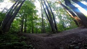 Электроэндуро по влажному лесу