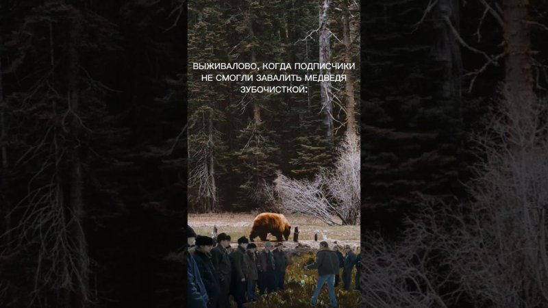 Уроки сенсея @vyzhivalovo #survival #выживание #forest #bushcraft #словопацанасериал