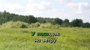 Карусельные лошадки. Детские караоке песни.