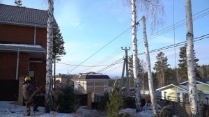 Как удалить дерево и не попасть на деньги // Спил деревьев в труднодоступных местах // Арбористика