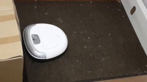 Робот-пылесос Miele Scout RX2 и iClebo Omega_Реальный мусор