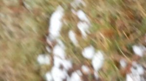 новые изоляторы на ЛЭП без проводов