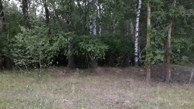 Усиль надежду всяк сюда входящий смотреть онлайн