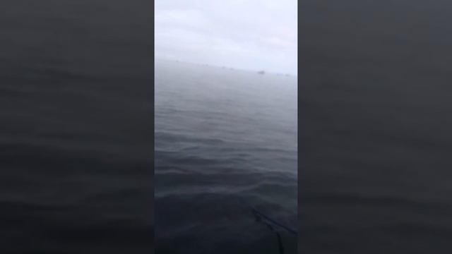 Как ловят камбалу на Белом море в Северодвинске