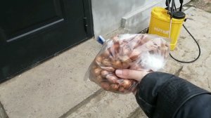 Посадила лук на зелень//Покупки с ВАЛДБЕРИС для сада//Чищу клумбы