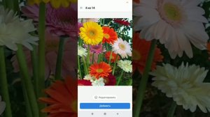 Как изменить фотку и обложку на своей странице ВКонтакте?