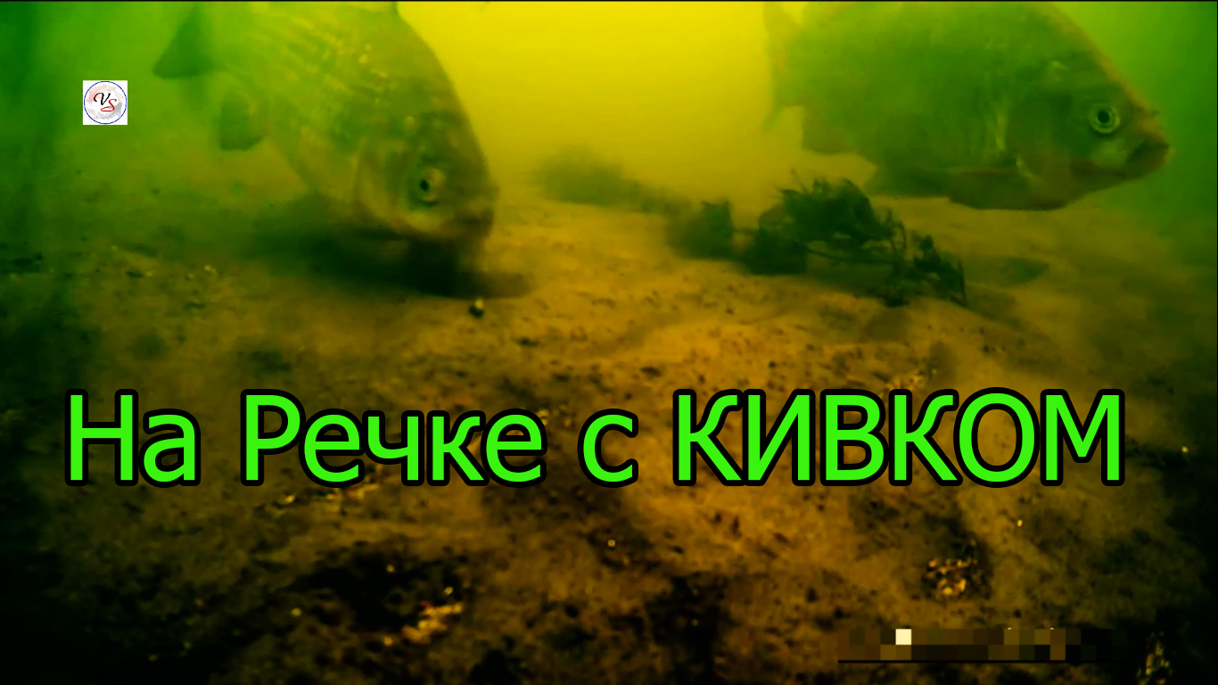 1.3 На речке на боковой кивок, насадка опарыш, мотыль, хлеб Ловля плотвы, леща, подводная съёмка смотреть онлайн