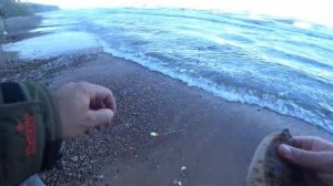 ЛОВЛЯ КАМБАЛЫ С БЕРЕГА В БАЛТИЙСКОМ МОРЕ. Сентябрь 2021. Влад TV.