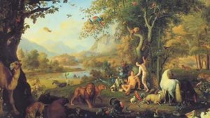 Есть ли душа у кошки?