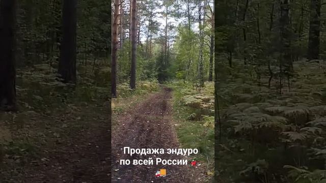 #Regulmoto Pilot в наличии Эндуросибирь24 является партнёром и официальным диллером марки Regulmoto смотреть онлайн