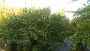 Баклосан?Моё знакомство с ним?Часть_2