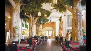 Влог! Сочи Парк! Кафе в СОЧИ ПАРКЕ -РОЛЛЕР КОСТЕЛ и ВОЛШЕБНЫЙ САД! Это Очень КРУТО!