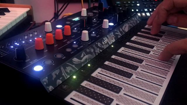 Arturia MICROFREAK (2) - 75 AMBIENT custom PATCHES demo смотреть онлайн