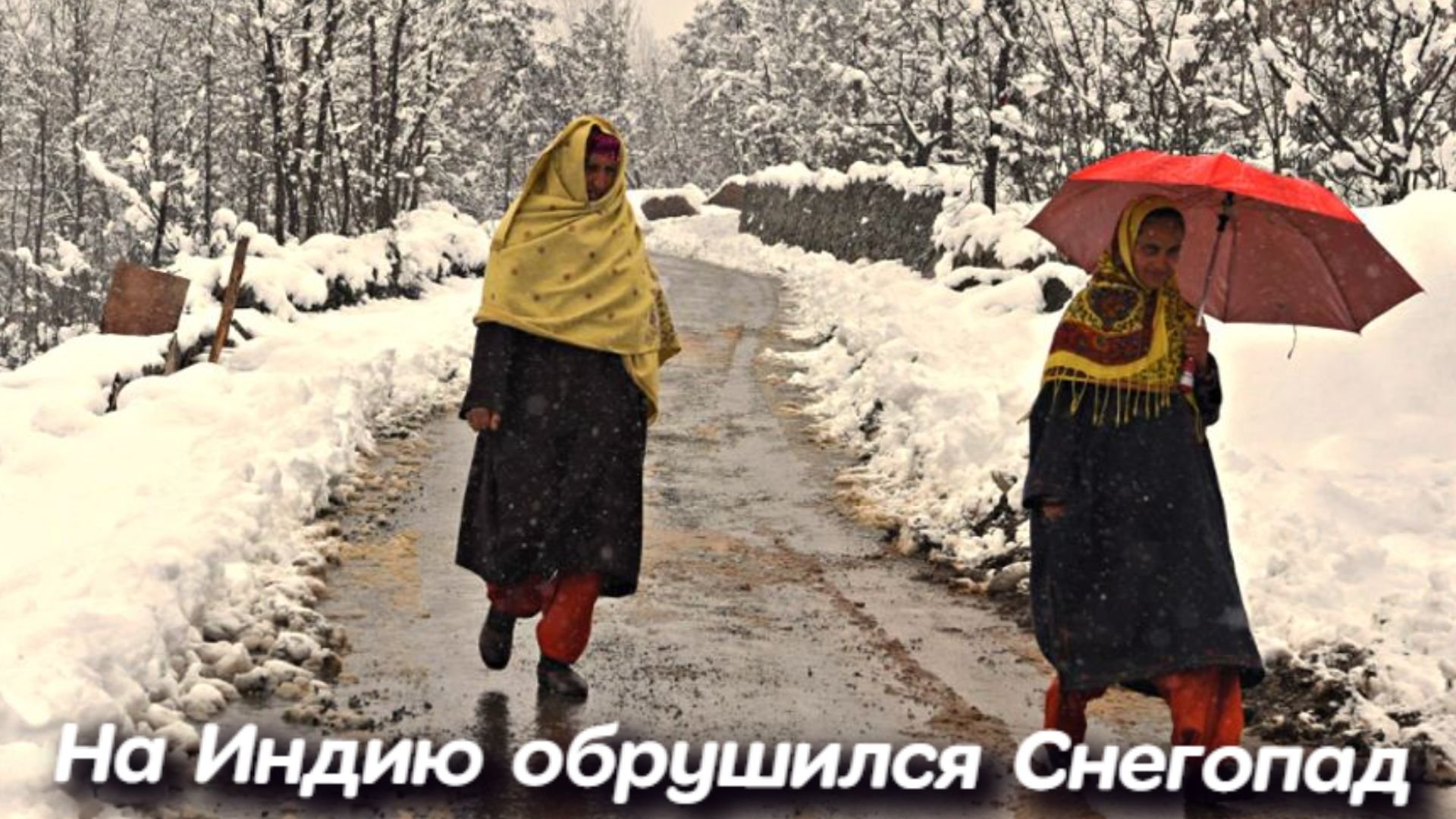 Катаклизмы Сегодня | На Индию обрушился Снегопад, нанесен серьезный ущерб посевам