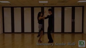 Stationary Samba Walk