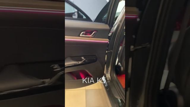 KIA K5 ПОДСВЕТКА САЛОНА смотреть онлайн