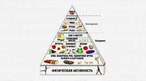 Что такое рациональное и правильное питание?