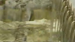 Биологическая очистка сточных вод. Nijhuis Water Technology